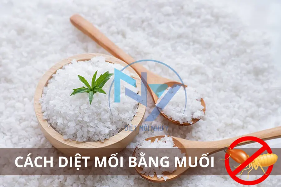 Cách Diệt Mối Bằng Muối: Có Hiệu Quả Không? Cách Thực Hiện & Lưu Ý