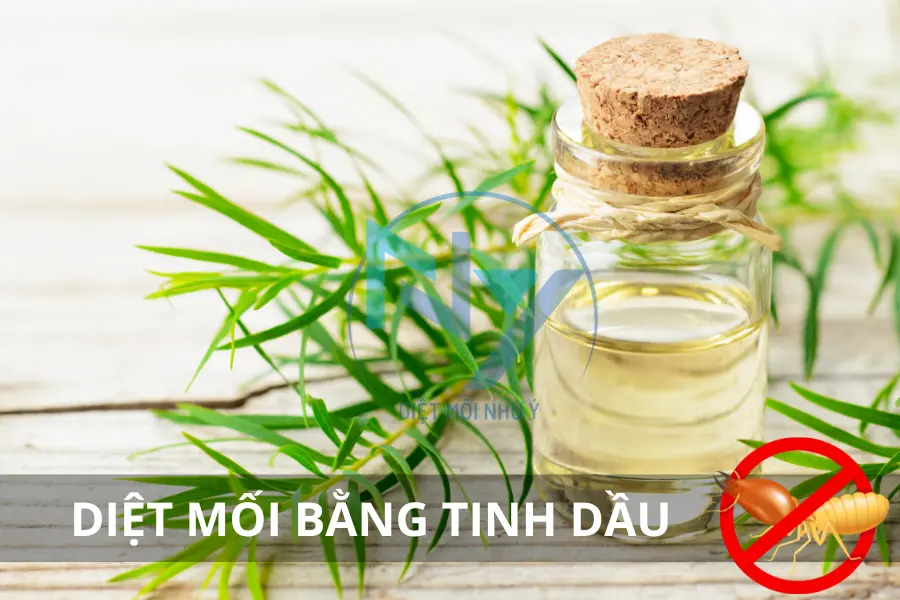 Diệt Mối Bằng Tinh Dầu: Phương Pháp An Toàn & Hiệu Quả?