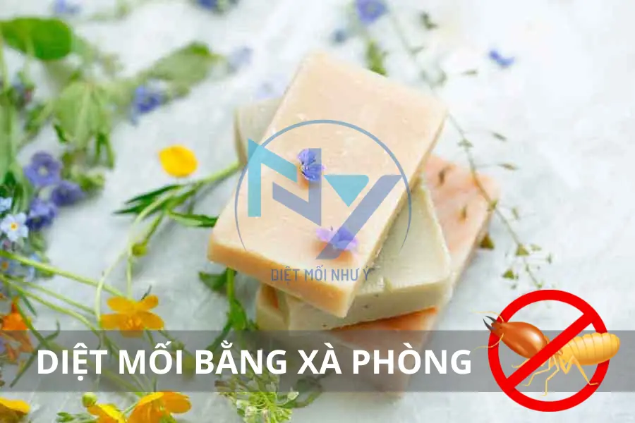 Diệt Mối Bằng Xà Phòng: Phương Pháp Dân Gian Có Hiệu Quả?