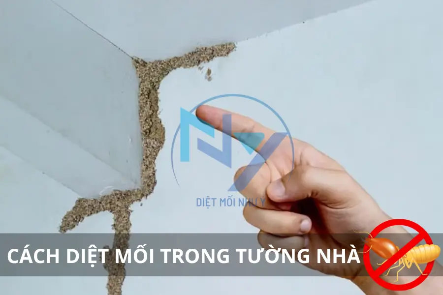 Cách Diệt Mối Trong Tường Nhà: Hướng Dẫn Chi Tiết & An Toàn