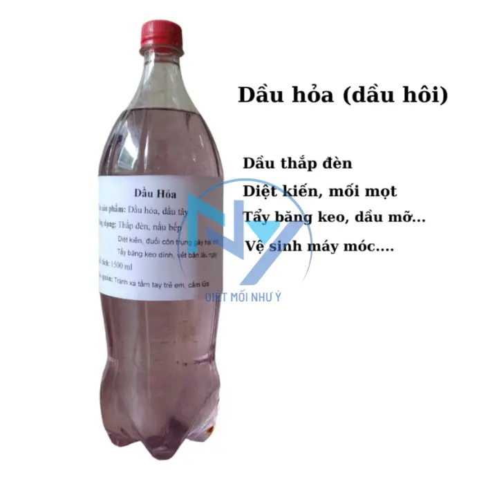 xử lý mối mọt