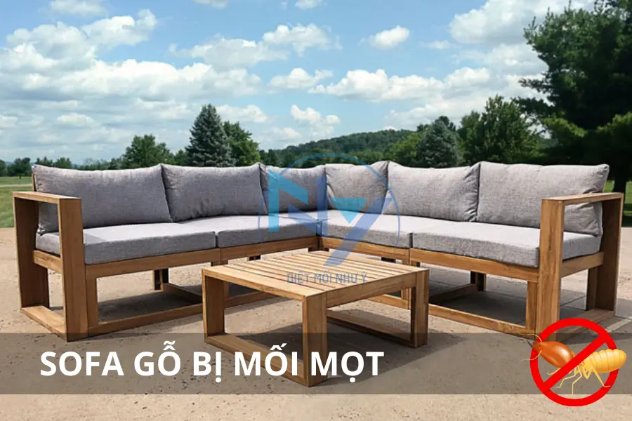 Sofa Gỗ Bị Mối Mọt: Nguyên Nhân, Cách Xử Lý & Phòng Ngừa