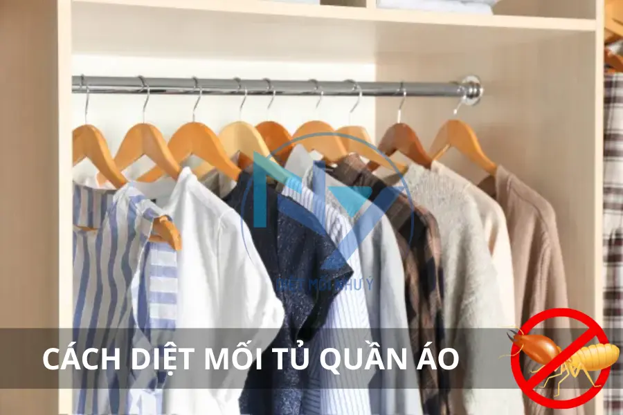 Cách Diệt Mối Trong Tủ Quần Áo: Mẹo Hay & An Toàn, Bảo Vệ Quần Áo