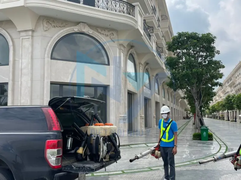 Quy định về chống mối cho công trình