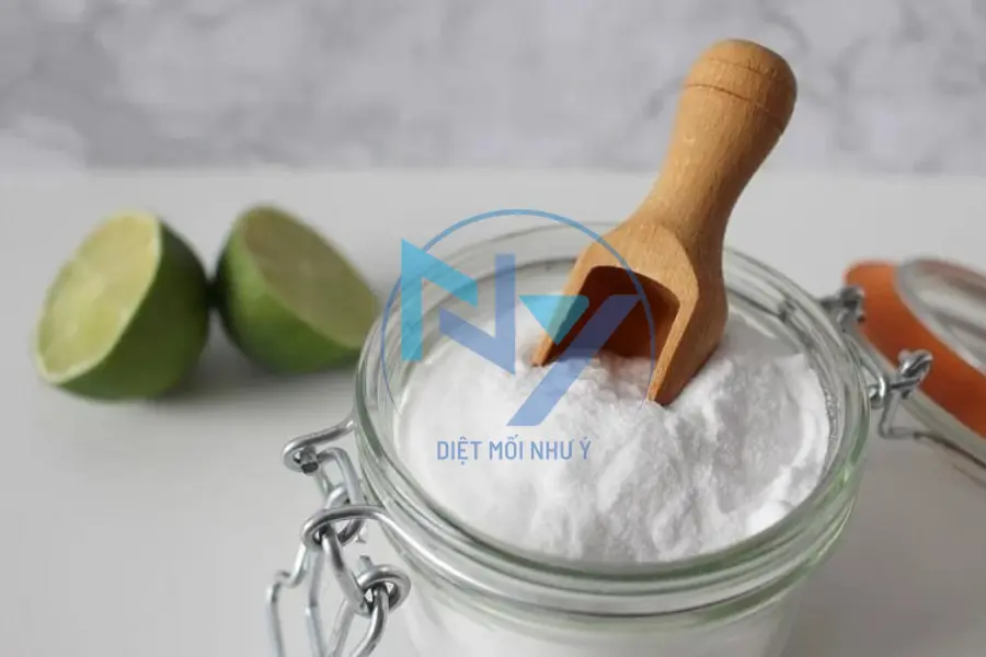 Diệt Mối Bằng Baking Soda