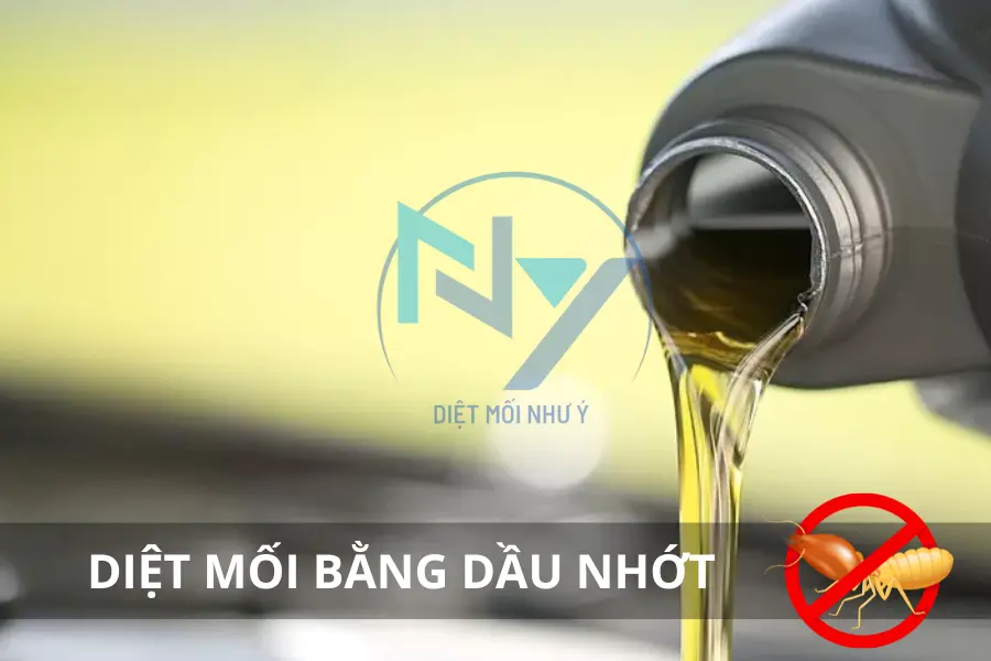 Diệt Mối Bằng Dầu Nhớt/Dầu Luyn Có Hiệu Quả không? Lưu Ý Quan Trọng