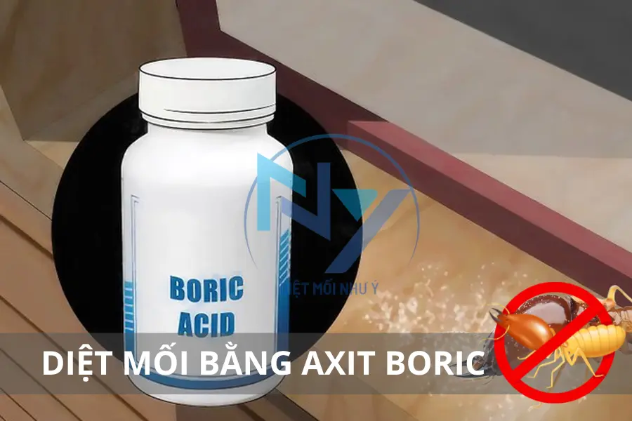 Axit Boric Diệt Mối: Hướng Dẫn Chi Tiết và Lưu Ý An Toàn