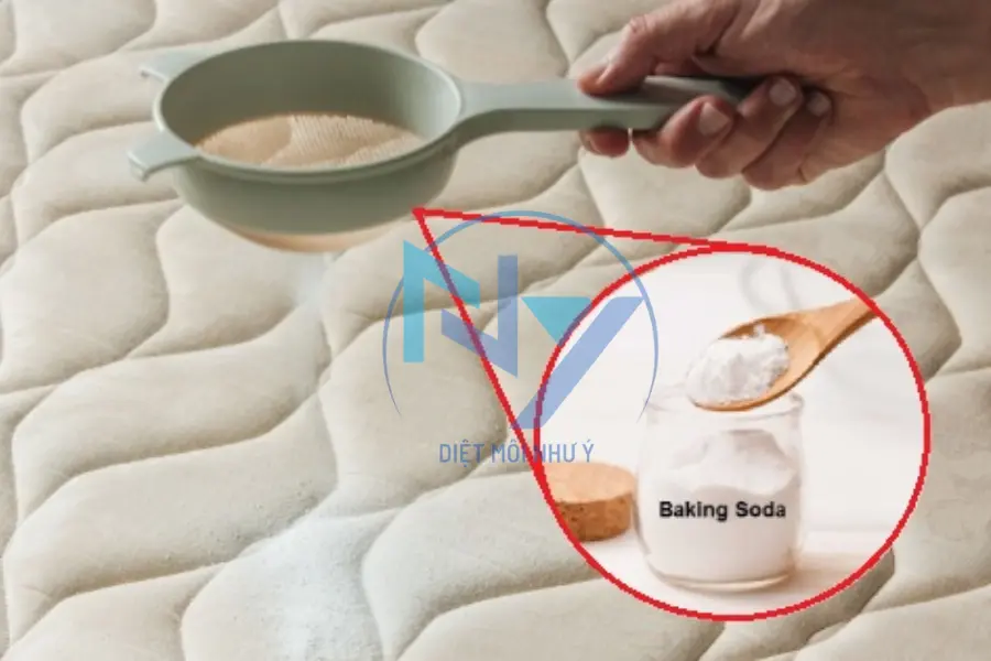 Diệt Mối Bằng Baking Soda