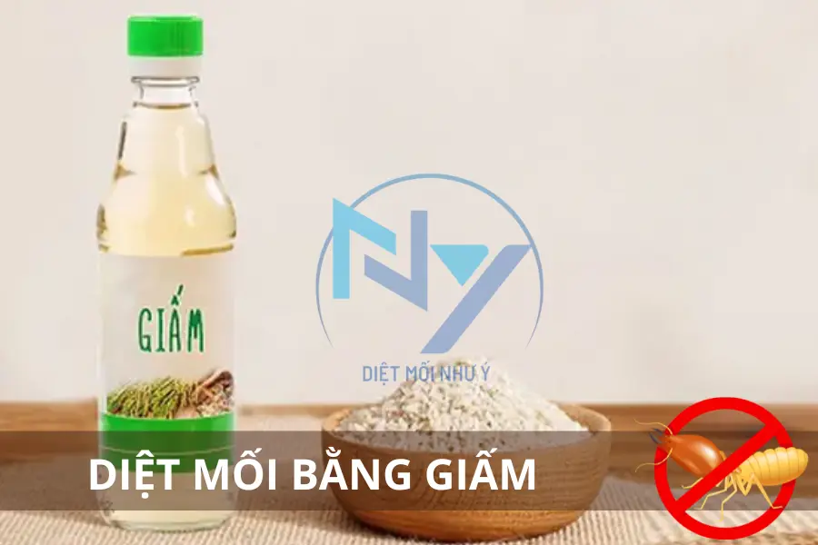 Diệt Mối Bằng Giấm: Hiệu Quả Đến Đâu? Phân Tích Chi Tiết