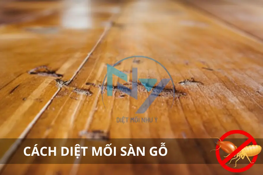 Cách Diệt Mối Sàn Gỗ: Hướng Dẫn Chi Tiết & An Toàn, Bảo Vệ Sàn Nhà