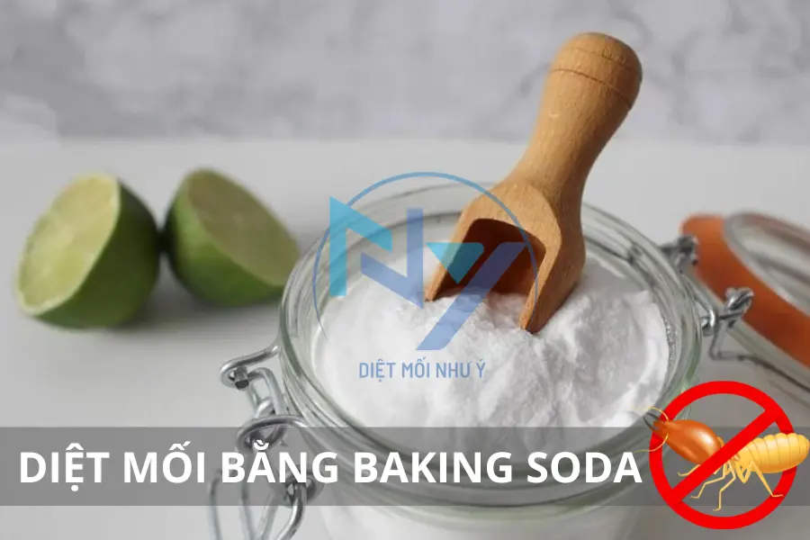 Diệt Mối Bằng Baking Soda: Có Thực Sự Hiệu Qủa?