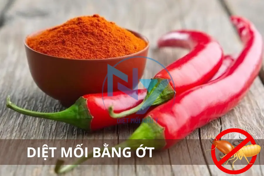 Diệt Mối Bằng Ớt: Thực Hư Công Dụng và Cách Áp Dụng